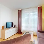 Binzer Sterne 26 *